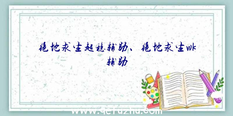 绝地求生超稳辅助、绝地求生wk辅助