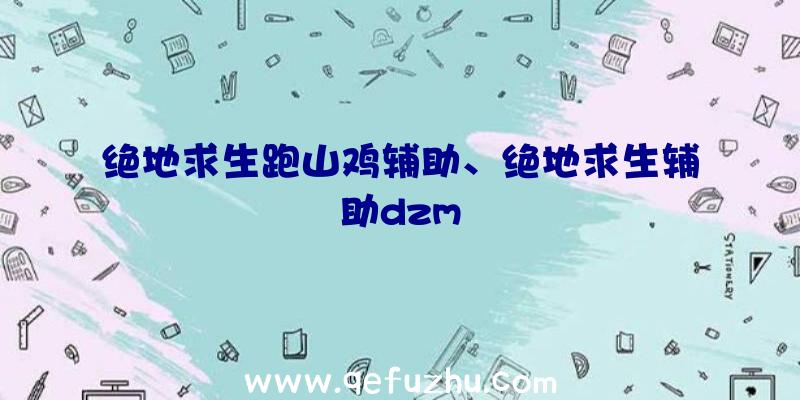 绝地求生跑山鸡辅助、绝地求生辅助dzm