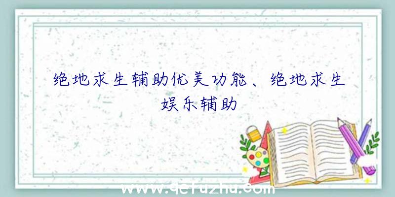 绝地求生辅助优美功能、绝地求生娱乐辅助