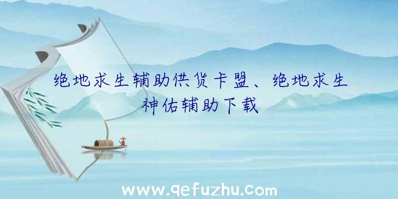 绝地求生辅助供货卡盟、绝地求生神佑辅助下载