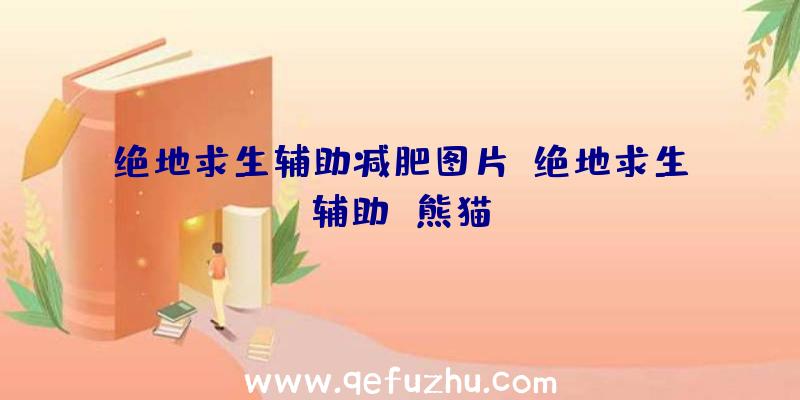 绝地求生辅助减肥图片、绝地求生辅助