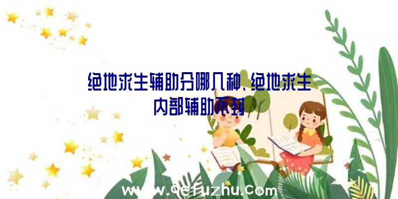 绝地求生辅助分哪几种、绝地求生内部辅助不封