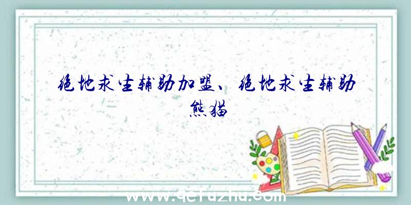 绝地求生辅助加盟、绝地求生辅助