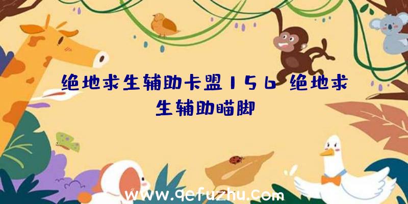 绝地求生辅助卡盟156、绝地求生辅助瞄脚