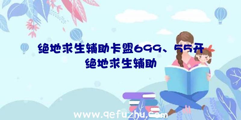 绝地求生辅助卡盟699、55开绝地求生辅助