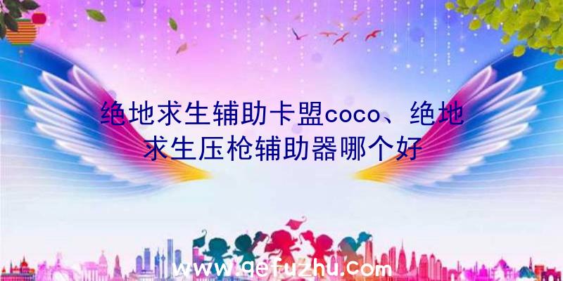 绝地求生辅助卡盟coco、绝地求生压枪辅助器哪个好