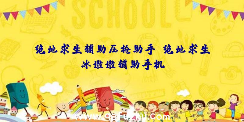 绝地求生辅助压枪助手、绝地求生冰墩墩辅助手机