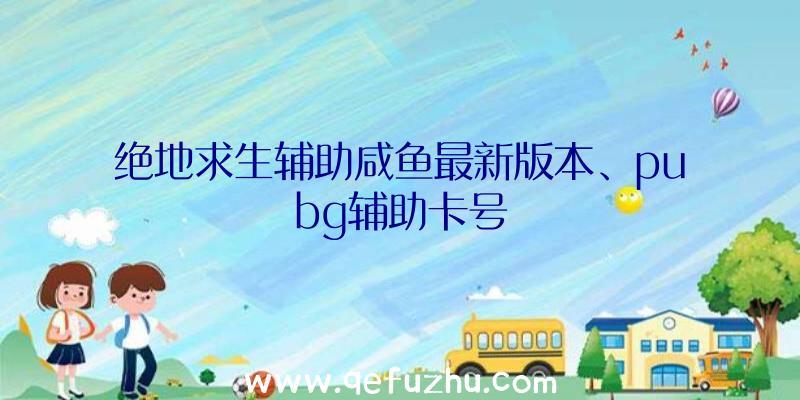 绝地求生辅助咸鱼最新版本、pubg辅助卡号