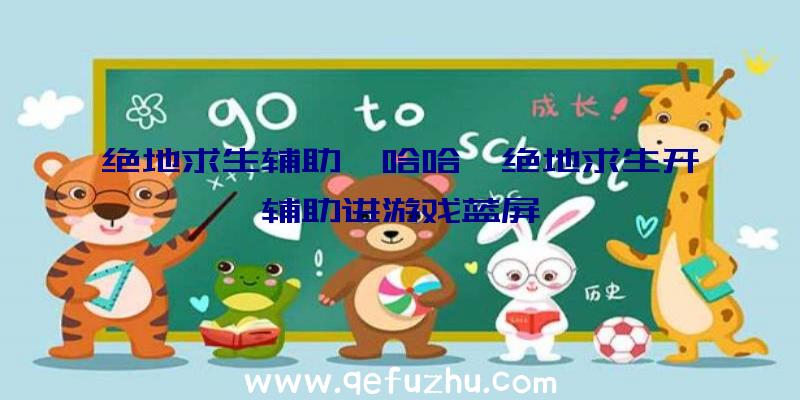 绝地求生辅助哇哈哈、绝地求生开辅助进游戏蓝屏