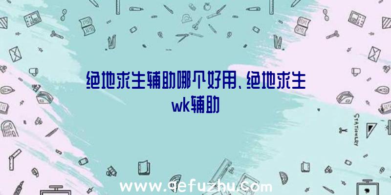 绝地求生辅助哪个好用、绝地求生wk辅助