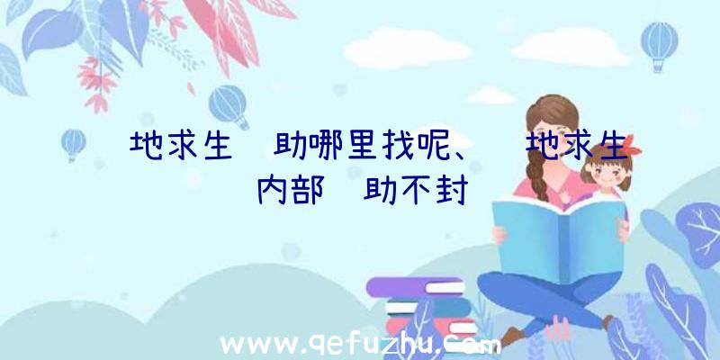 绝地求生辅助哪里找呢、绝地求生内部辅助不封