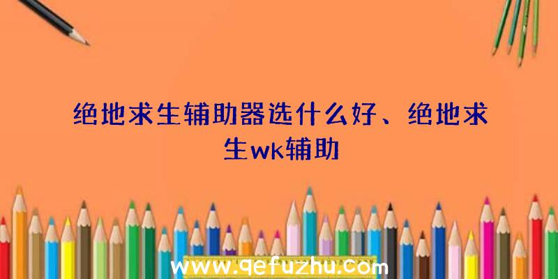 绝地求生辅助器选什么好、绝地求生wk辅助