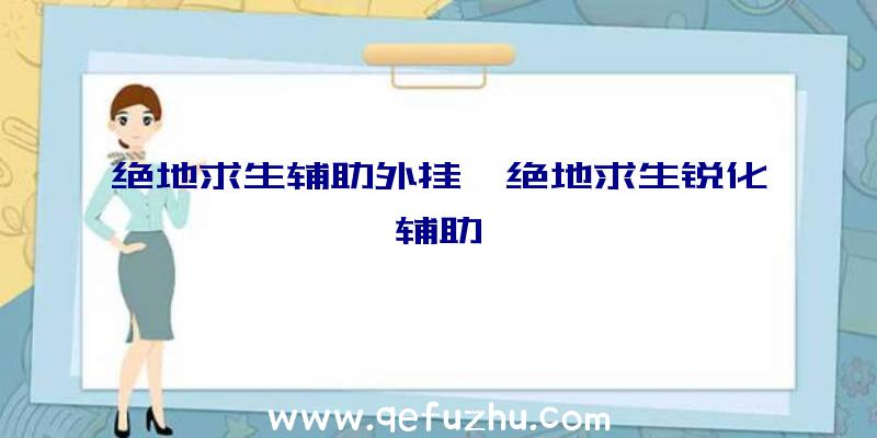 绝地求生辅助外挂、绝地求生锐化辅助