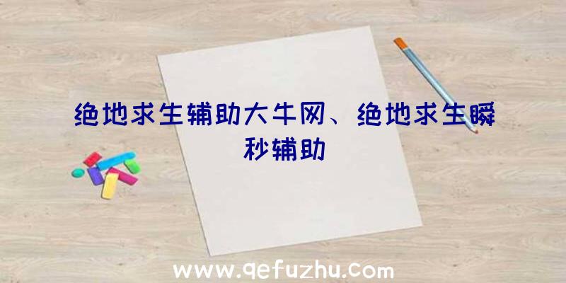 绝地求生辅助大牛网、绝地求生瞬秒辅助