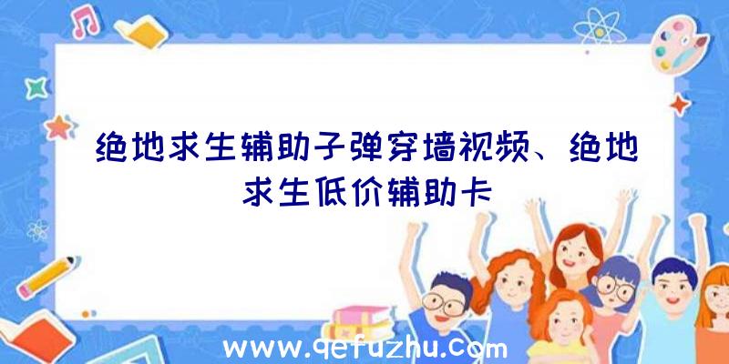 绝地求生辅助子弹穿墙视频、绝地求生低价辅助卡