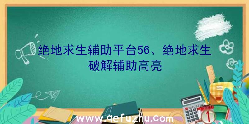 绝地求生辅助平台56、绝地求生破解辅助高亮