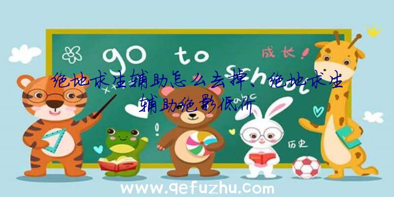 绝地求生辅助怎么去掉、绝地求生辅助绝影低价