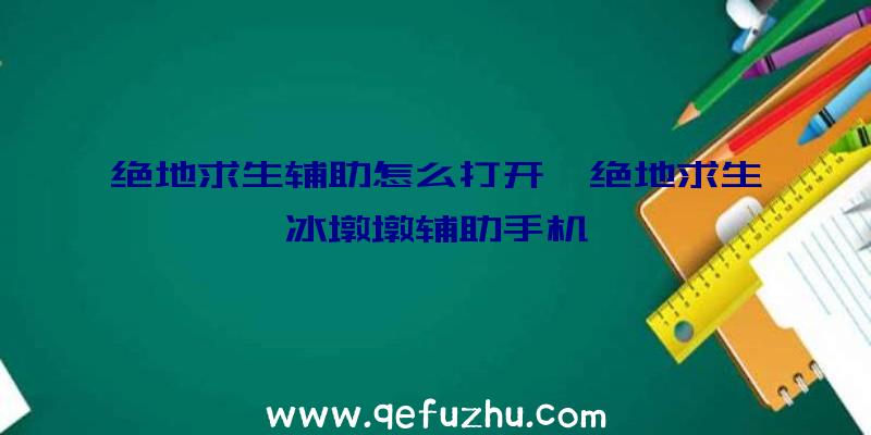 绝地求生辅助怎么打开、绝地求生冰墩墩辅助手机