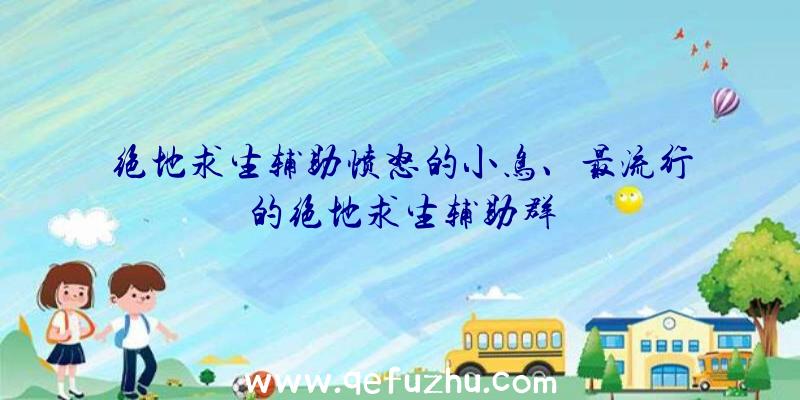 绝地求生辅助愤怒的小鸟、最流行的绝地求生辅助群