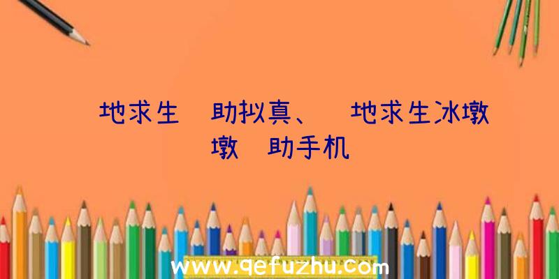 绝地求生辅助拟真、绝地求生冰墩墩辅助手机