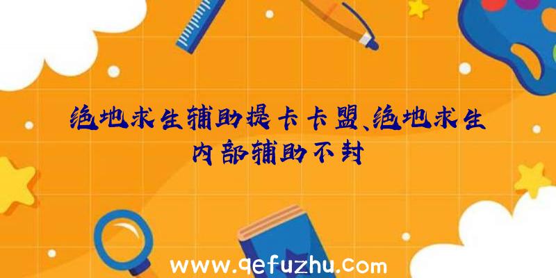 绝地求生辅助提卡卡盟、绝地求生内部辅助不封