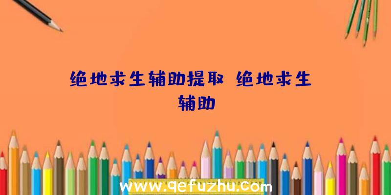 绝地求生辅助提取、绝地求生wk辅助