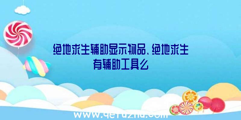 绝地求生辅助显示物品、绝地求生有辅助工具么