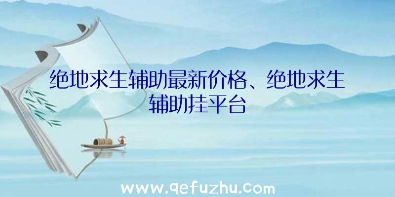 绝地求生辅助最新价格、绝地求生辅助挂平台