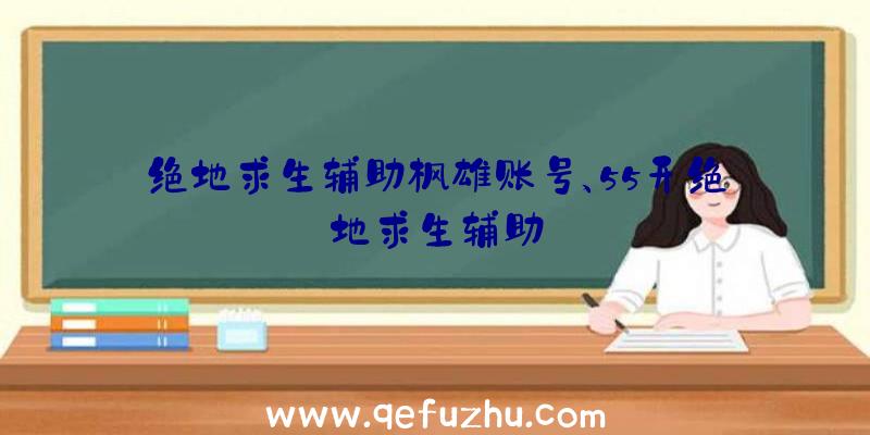 绝地求生辅助枭雄账号、55开绝地求生辅助