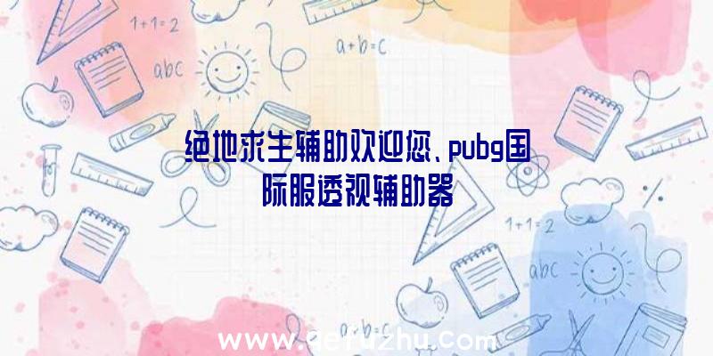 绝地求生辅助欢迎您、pubg国际服透视辅助器