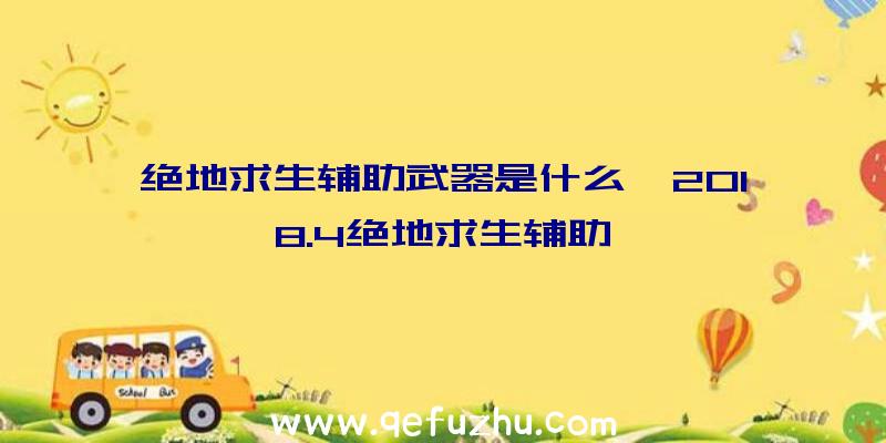 绝地求生辅助武器是什么、2018.4绝地求生辅助