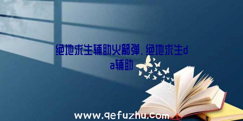 绝地求生辅助火箭弹、绝地求生da辅助