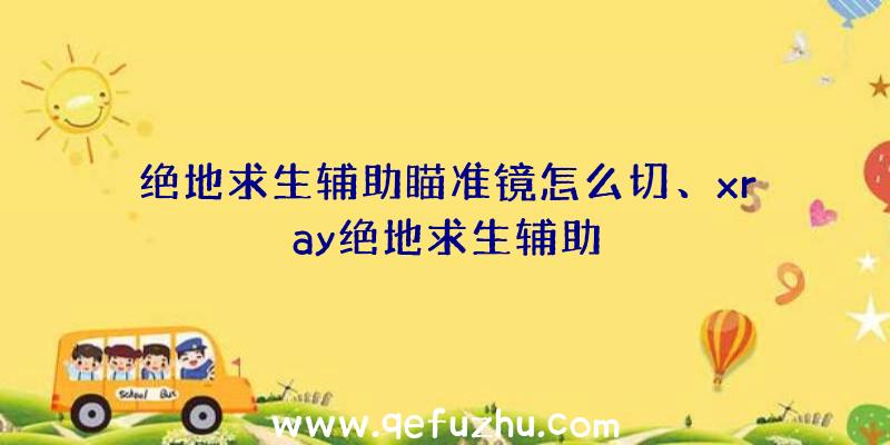 绝地求生辅助瞄准镜怎么切、xray绝地求生辅助