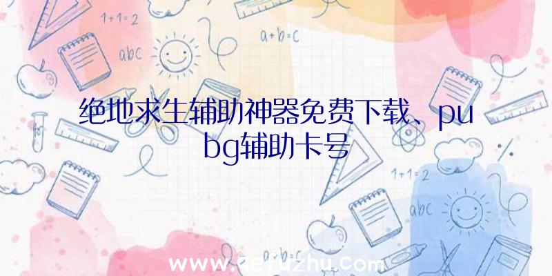 绝地求生辅助神器免费下载、pubg辅助卡号