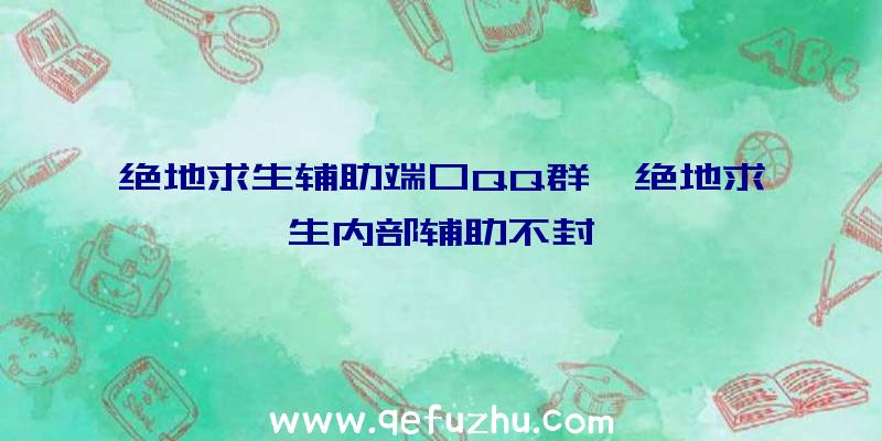 绝地求生辅助端口QQ群、绝地求生内部辅助不封