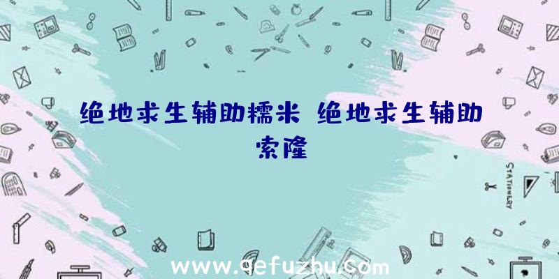 绝地求生辅助糯米、绝地求生辅助索隆