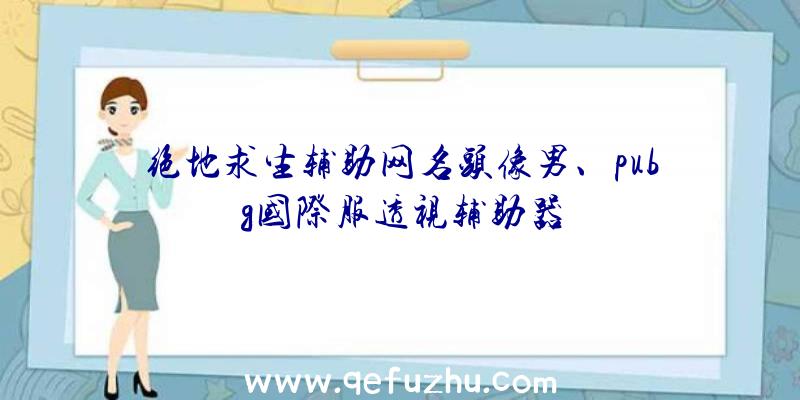 绝地求生辅助网名头像男、pubg国际服透视辅助器