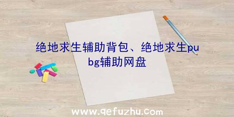 绝地求生辅助背包、绝地求生pubg辅助网盘