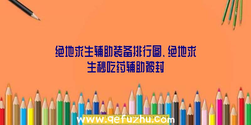 绝地求生辅助装备排行图、绝地求生秒吃药辅助被封