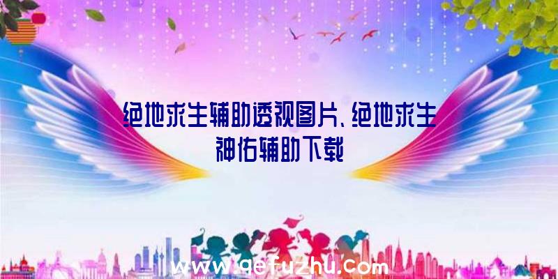 绝地求生辅助透视图片、绝地求生神佑辅助下载