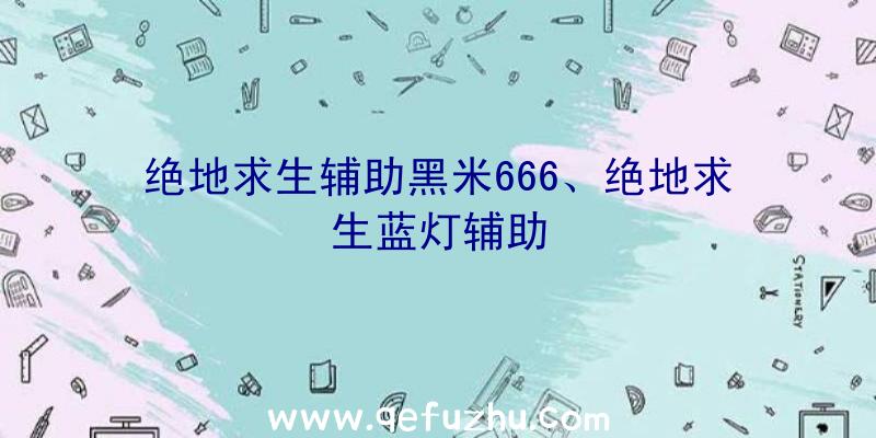 绝地求生辅助黑米666、绝地求生蓝灯辅助