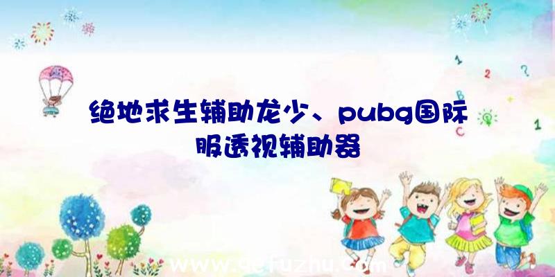 绝地求生辅助龙少、pubg国际服透视辅助器