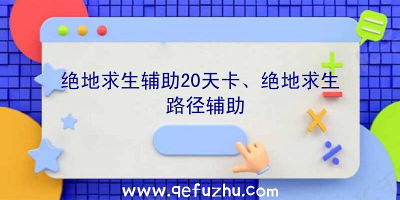 绝地求生辅助20天卡、绝地求生