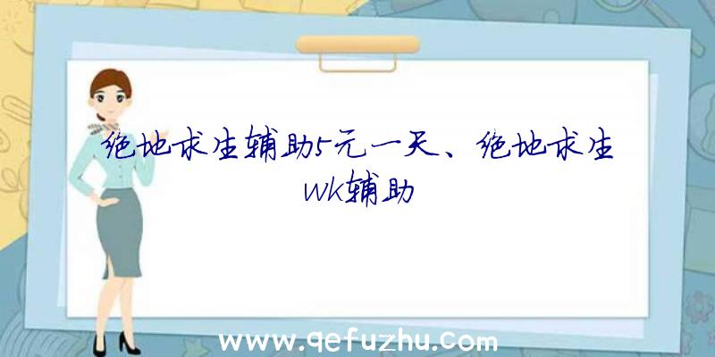 绝地求生辅助5元一天、绝地求生wk辅助