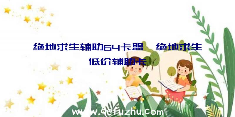 绝地求生辅助64卡盟、绝地求生低价辅助卡