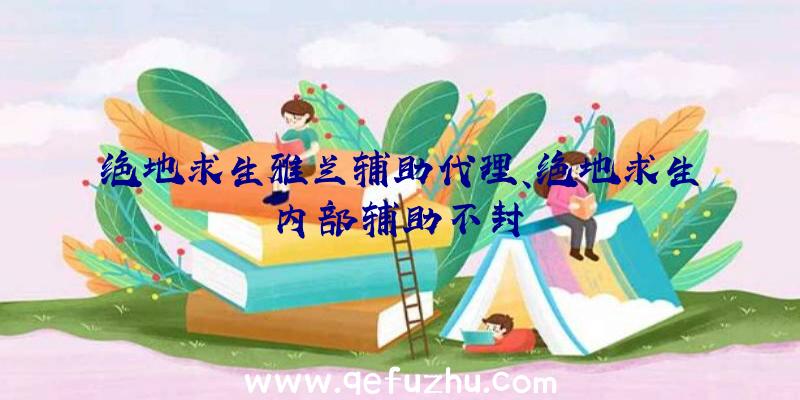 绝地求生雅兰辅助代理、绝地求生内部辅助不封