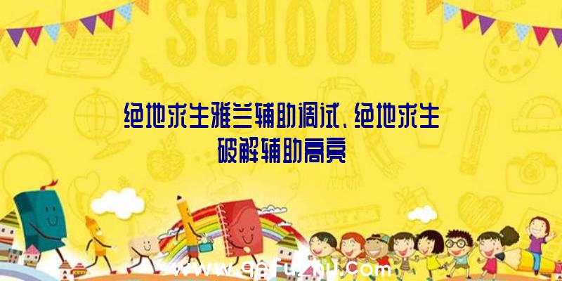 绝地求生雅兰辅助调试、绝地求生破解辅助高亮