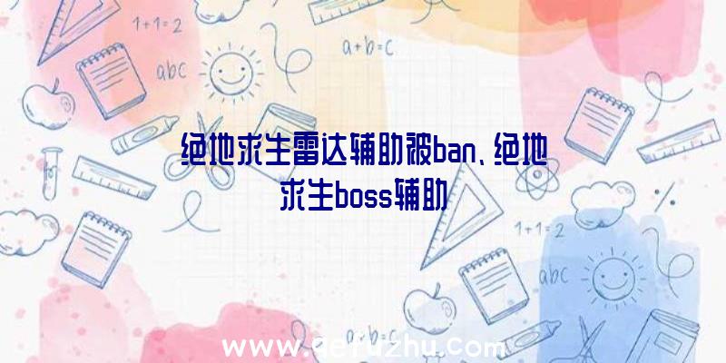 绝地求生雷达辅助被ban、绝地求生boss辅助