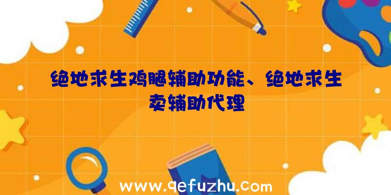 绝地求生鸡腿辅助功能、绝地求生卖辅助代理