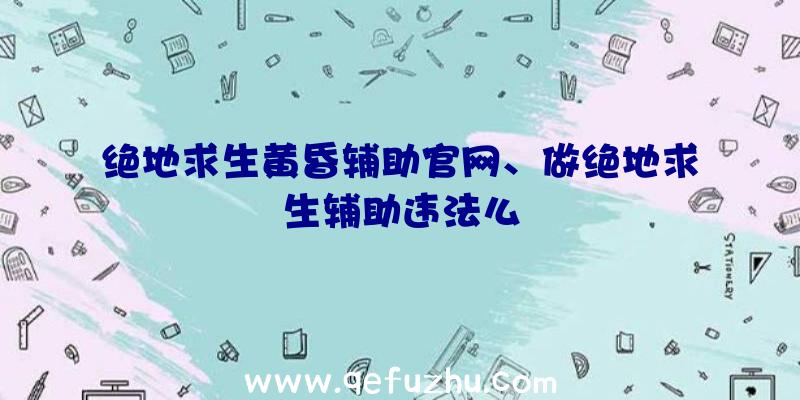 绝地求生黄昏辅助官网、做绝地求生辅助违法么